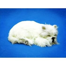 Perfect Petzzz Westie by Perfect Petzzz
