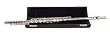Palatino C Flute (Silver Plated) 17-Key Closed with leatherette case