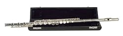 Palatino C Flute (Silver Plated) 17-Key Closed with leatherette case