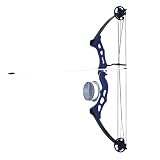 Arrow Precision Frenzy Bowfishing Set