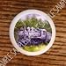 TRAINS LOCOMOTIVES TRAIN #102 DRAWER PULLS KNOBS
