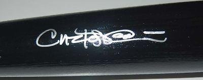Carlos Pena Autographed Tampa Rays Professional Bat - Autographed MLB Bats