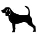   - Beagle Leash Hook (Approx. 9.5' x 6.5')