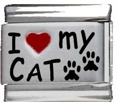 Clearly Charming I Heart My Cat Red Heart Laser Italian Charm