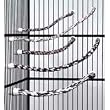 Booda Medium Comfy Bird Cage Perch