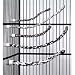 Pet Supplies : Booda Large Comfy Bird Cage Perch