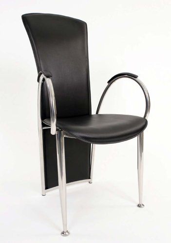 Modern Contemporary Dinning Room Armrests Chair