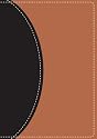 Zondervan NIV Study Bible: Compact Edition
