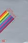 The Virgin Gay Guide