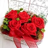 �y���j���E�L�O���E�a�����E�t�����[�M�t�g�E�o���z �^���Ԃȃo���̕�Δ��@���b�h�\���x�y�v���U�[�u�h�t�����[�z