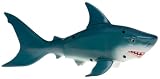 Rainbow Reef Shark