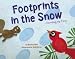 Footprints in the Snow: Counting by Twos (Know Your Numbers)