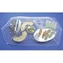 Charcoal Companion P00432 Rectangular Food Tent 48x24