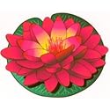 Imagine Gold Floating Water Lily Medium 5.5 Inch Red