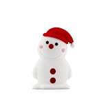 Fruitshop Snowman Driver 4GB DR10061-4W