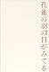 孔雀の羽の目がみてる