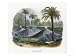 Air Volcanoes (Volcanitos) of Turbaco Near Cartagena Colombia Landscapes Giclee Poste...