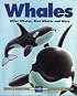 Whales : Killer Whales, Blue Whales and More (Kids Can Press Wildlife Series)
