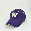 Washington Huskies Adult Adjustable Hat