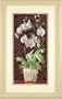 Orchid Tapestry Needlepoint Kit