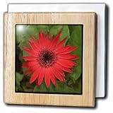 Red Gerber - 6 Inch Tile Napkin Holder