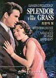 Splendor in the Grass [All Region] [import]
