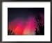 Curtains of Northern Lights above Fairbanks, Alaska, USA Framed Art Poster Print by H...