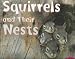 Squirrels and Their Nests (Pebble Plus, Animal Homes) Squirrels and Their Nests (Pebble Plus, Animal Homes)