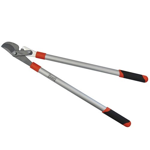 Cheap Wilkinson Sword Geared Bypass Loppers Sale yrxses