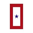 Service Star Magnet