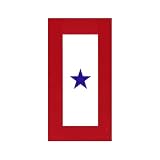 Service Star Magnet