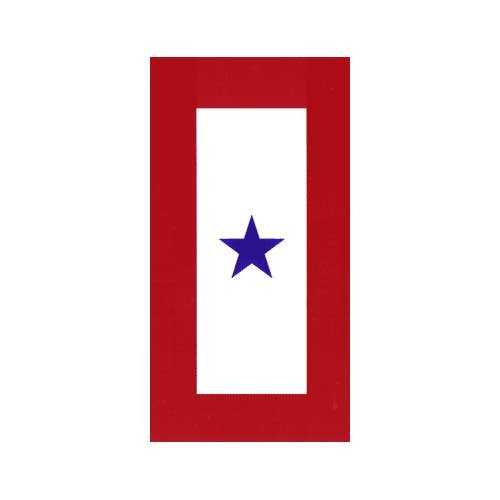 Service Star Magnet