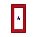 Service Star Magnet