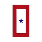 Service Star Magnet