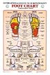 Foot Reflexology Chart Laminated