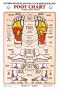 Foot Reflexology Chart Laminated