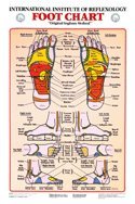 Foot Reflexology Chart Laminated