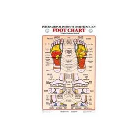 Foot Reflexology Chart Laminated