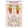 Foot Reflexology Chart Laminated