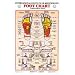 Foot Reflexology Chart Laminated