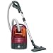AEG T 2.4 electronic Bodenstaubsauger rot transparent