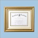 DAXN15835GX - Hand-Finished Solid Wood 11x14 Document Frame for 8-1/2x11 Insert, Gold Foil - N15835GX / DAXN15835GX