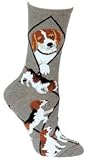 Beagle Cotton Puppy Dog Breed Animal Socks 9-11