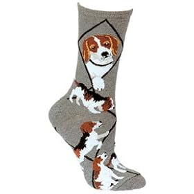 Beagle Cotton Puppy Dog Breed Animal Socks 9-11