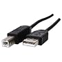 3m USB 2.0 A to B Cable ~ Premium Quality ~ High Speed ~ 480Mbps ~ For Epson, HP, Canon, Lexmark & Oki USB Printers