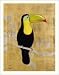 Art Poster Print - Toucan - Artist: Simon Menzies - Poster Size: 22 X 28 inches