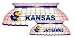 Kansas Jayhawks Pool Table Billiards Tiffany Lamp
