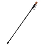 Harvy Compass Hiking Pole - Black
