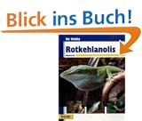 Ihr Hobby Rotkehlanolis