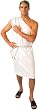 Adult Men's Roman Toga Costume Size (40-44)